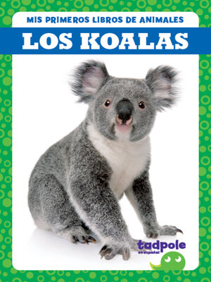 cover image of Los koalas (Koalas)